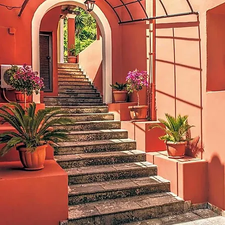 Hotel The Palm Garden